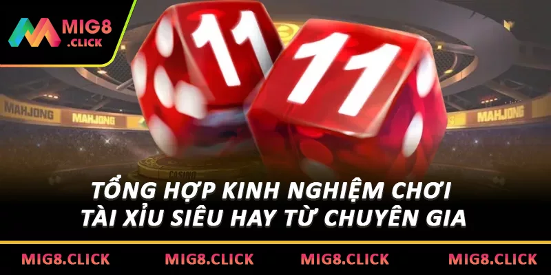 Tổng hợp kinh nghiệm chơi tài xỉu siêu hay từ chuyên gia