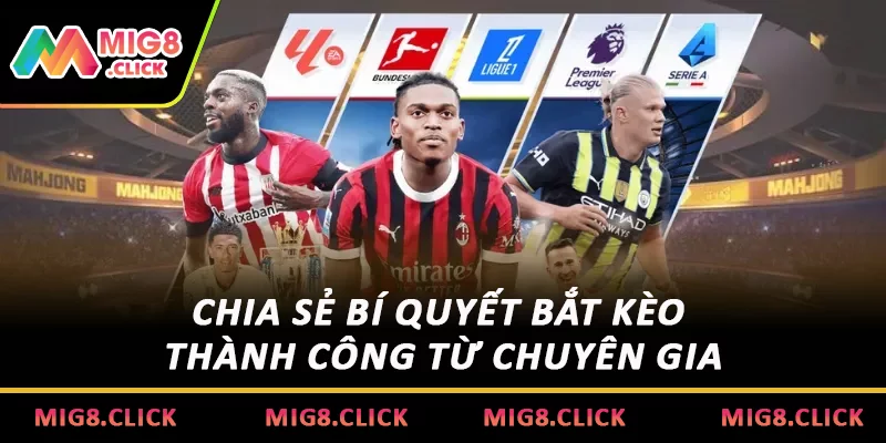 Chia sẻ bí quyết bắt kèo thành công từ chuyên gia