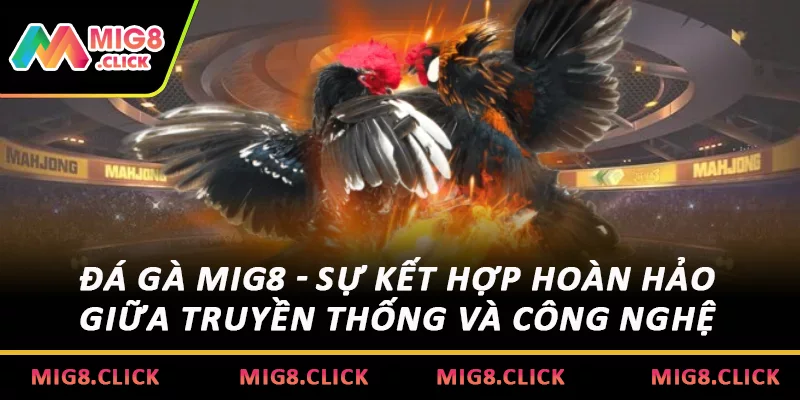 Đá gà MIG8 - Sự kết hợp hoàn hảo giữa truyền thống và công nghệ