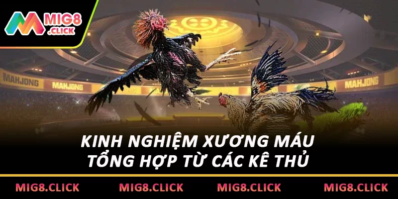 Kinh nghiệm xương máu tổng hợp từ các kê thủ